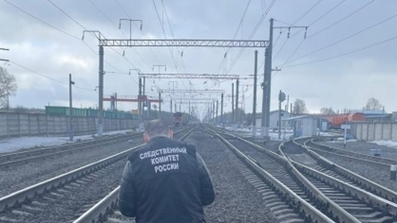 Житель Плесецкого района окажется в суде по обвинению в убийстве сестры Обвиняемый признал свою вину, объяснив, что час...