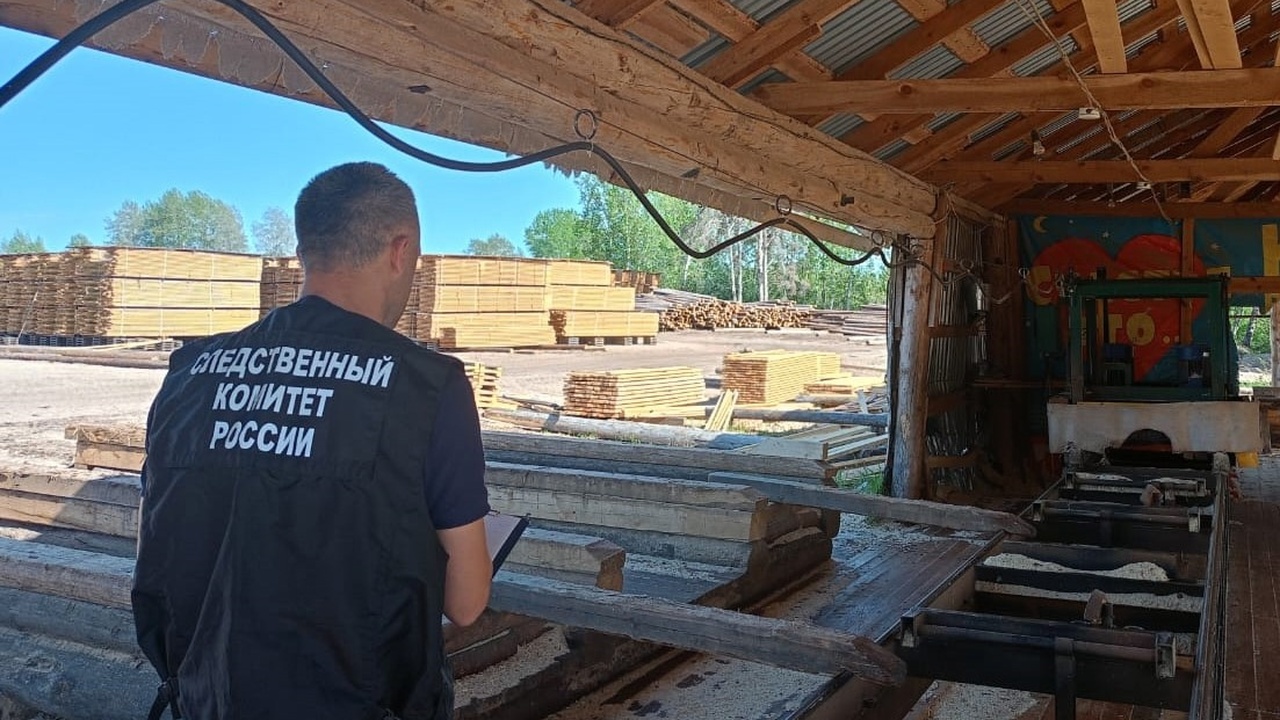 В Шенкурском районе возбуждено дело после травмирования работника Во время работы штабель древесины неожиданно на...