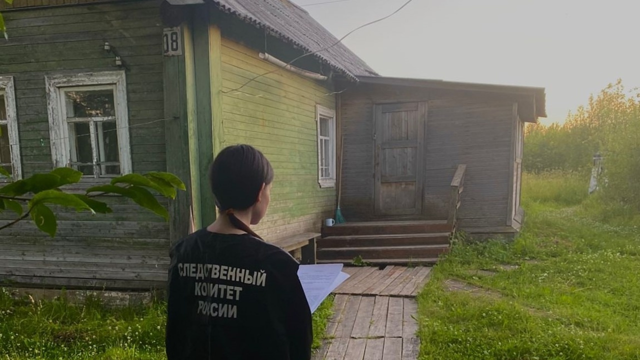 Нетрезвый житель Плесецкого района подозревается в причинении смерти мужчине Подозреваемый пояснил следователям, что потерпе...