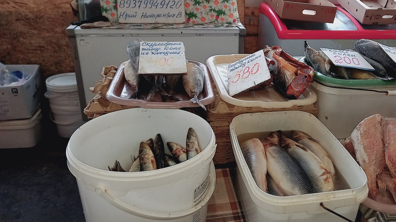 Как я добывал икру из форели: эксперимент с цен...