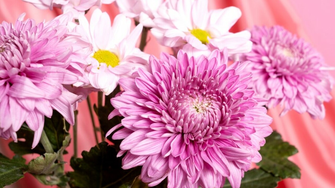 Ноябрь — отличное время для подзимнего посева а...