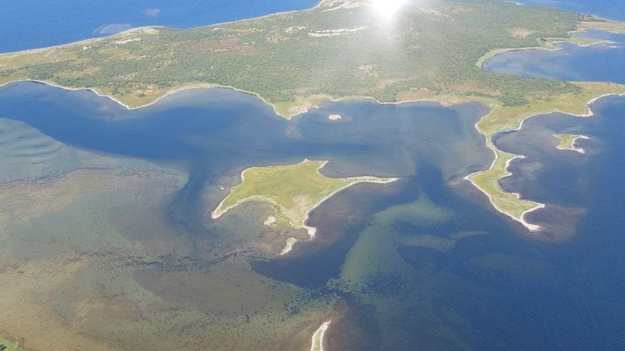 Поиски пропавших туристов в Белом море продолжа...