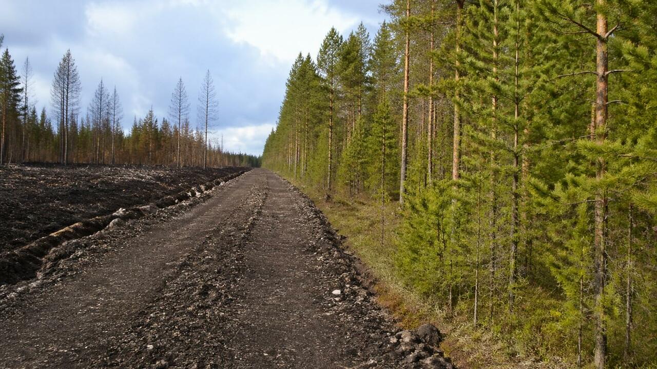 Архангельская область усилит противопожарный ко...