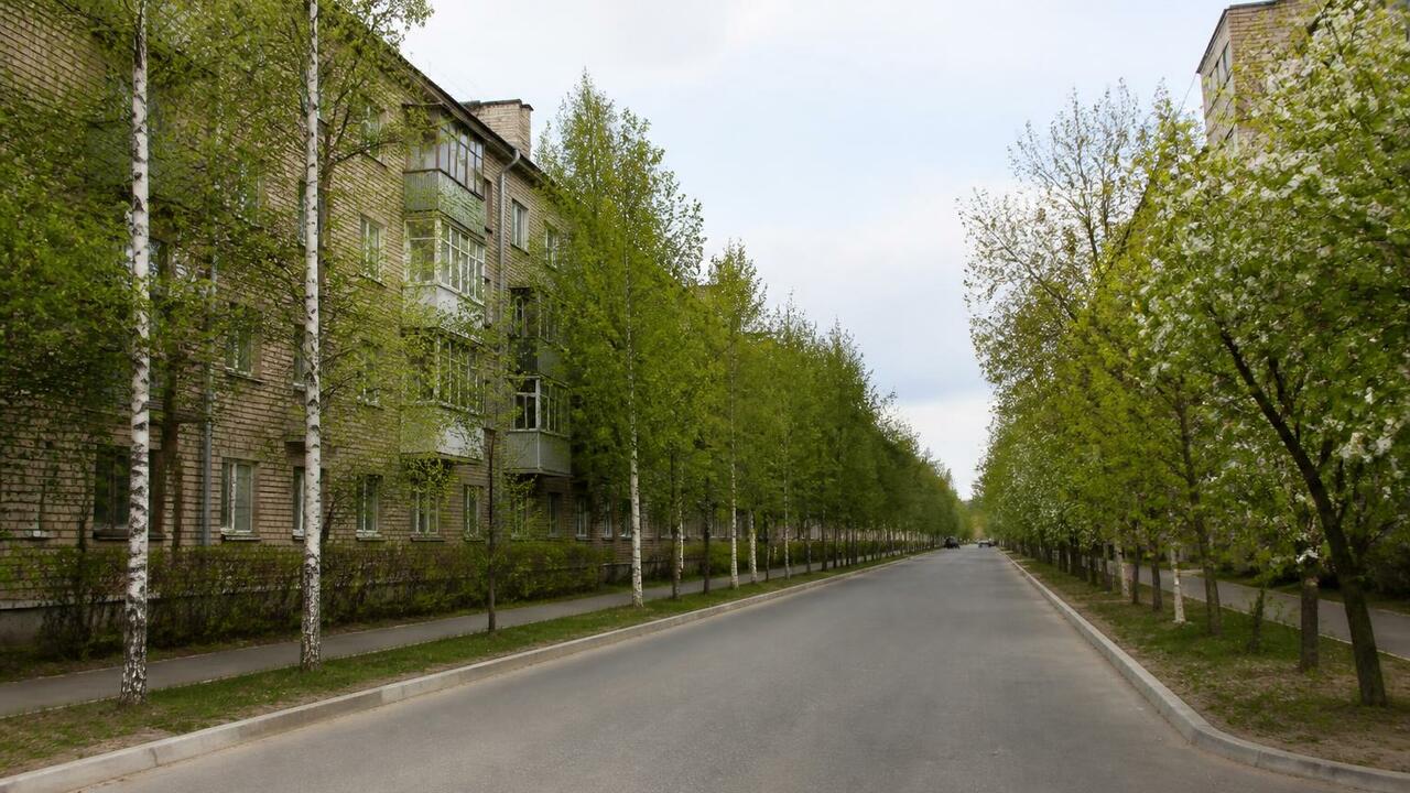 Ветераны ФСБ высадили 21 дерево в Архангельске Ветераны и сотрудники ФСБ высадили деревья на у...