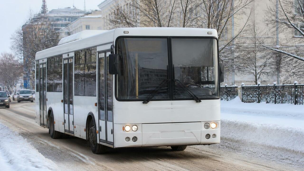 В Архангельской области с начала года по вине в...