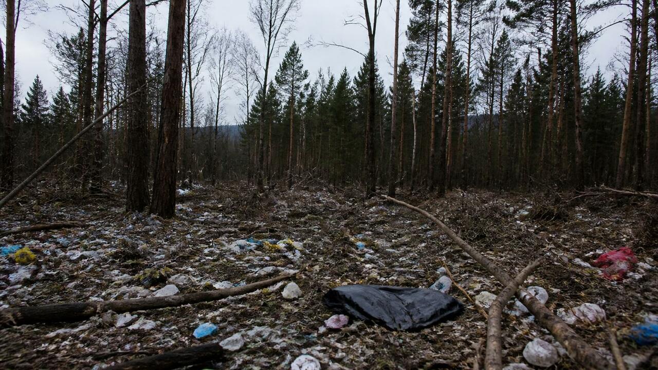 Компания «Поморское» устроила свалку на террито...