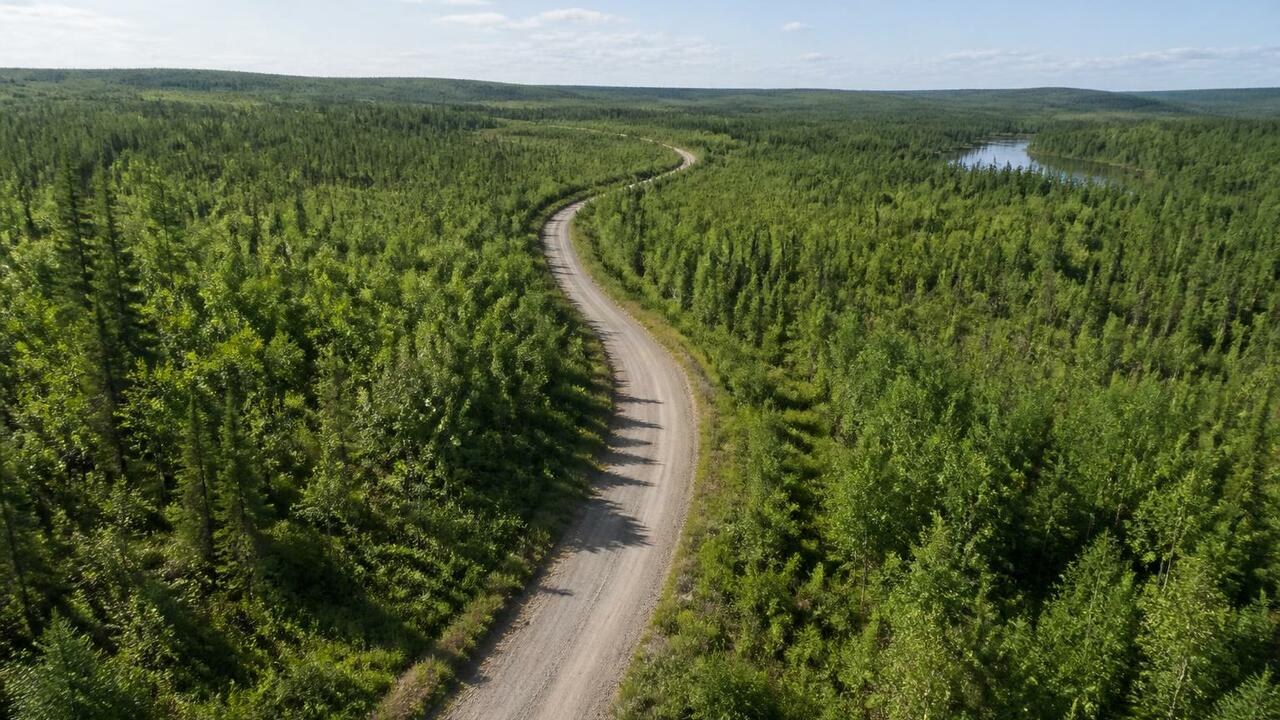 Дорогу к деревне Кимжа в Архангельской области ...
