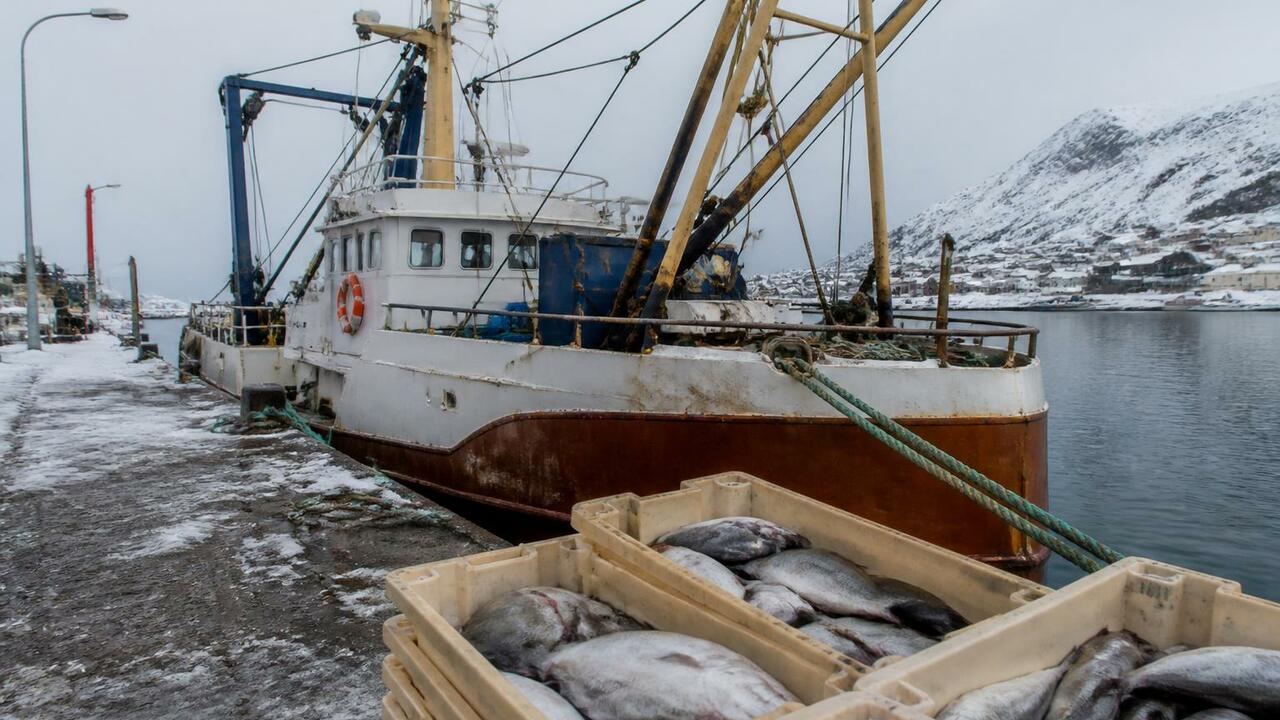 В Архангельск прибыло 180 тонн рыбы из Баренцева моря Траулер «Архангельск» доставил 180 тонн свежей ...