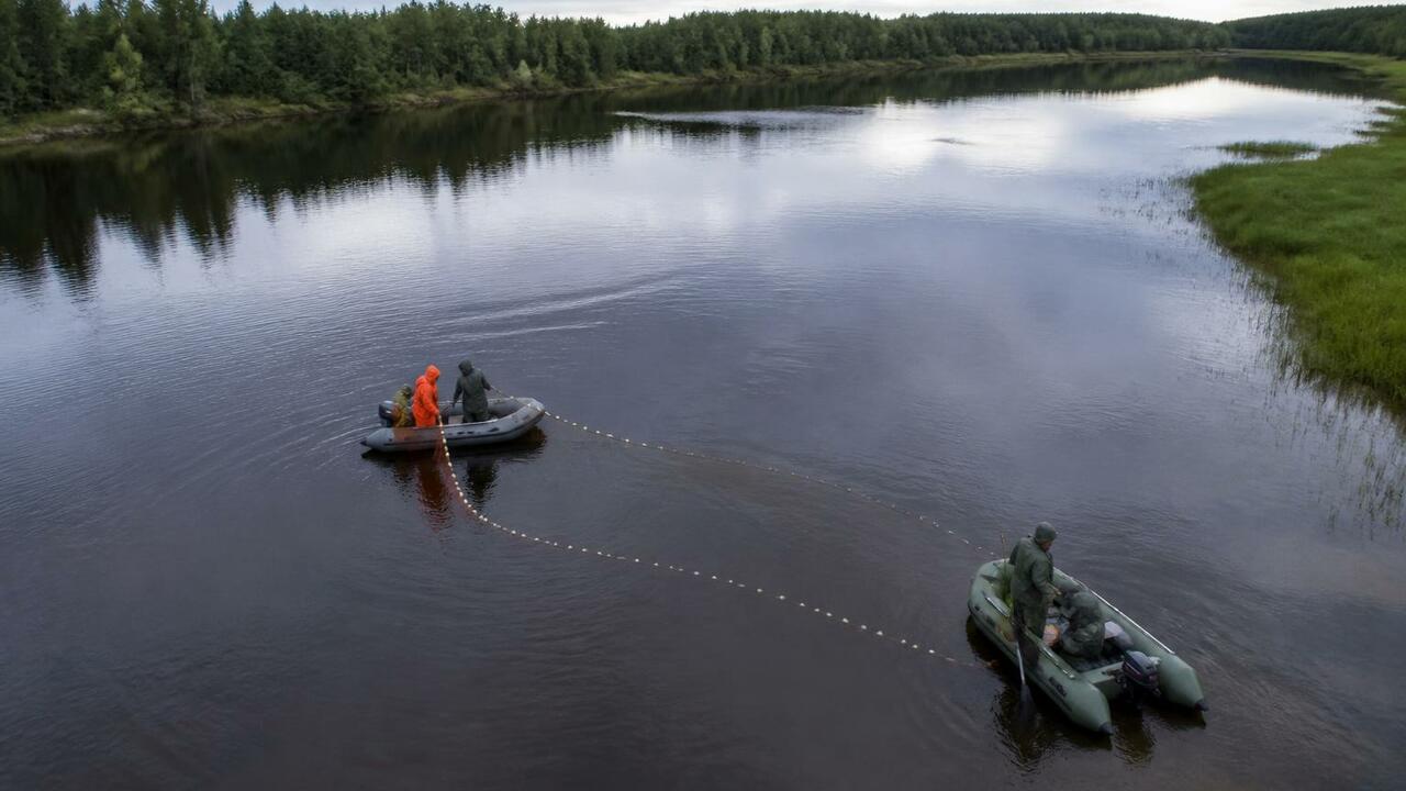 Ученые ВНИРО обосновали увеличение квот на выло...