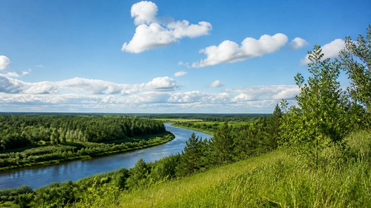В Архангельскую область возвращается теплая пог...