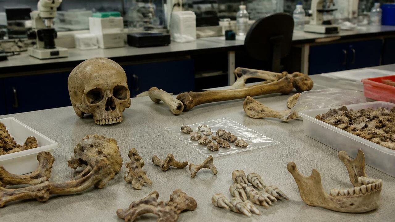 Исследование костей майя из небольших поселений...