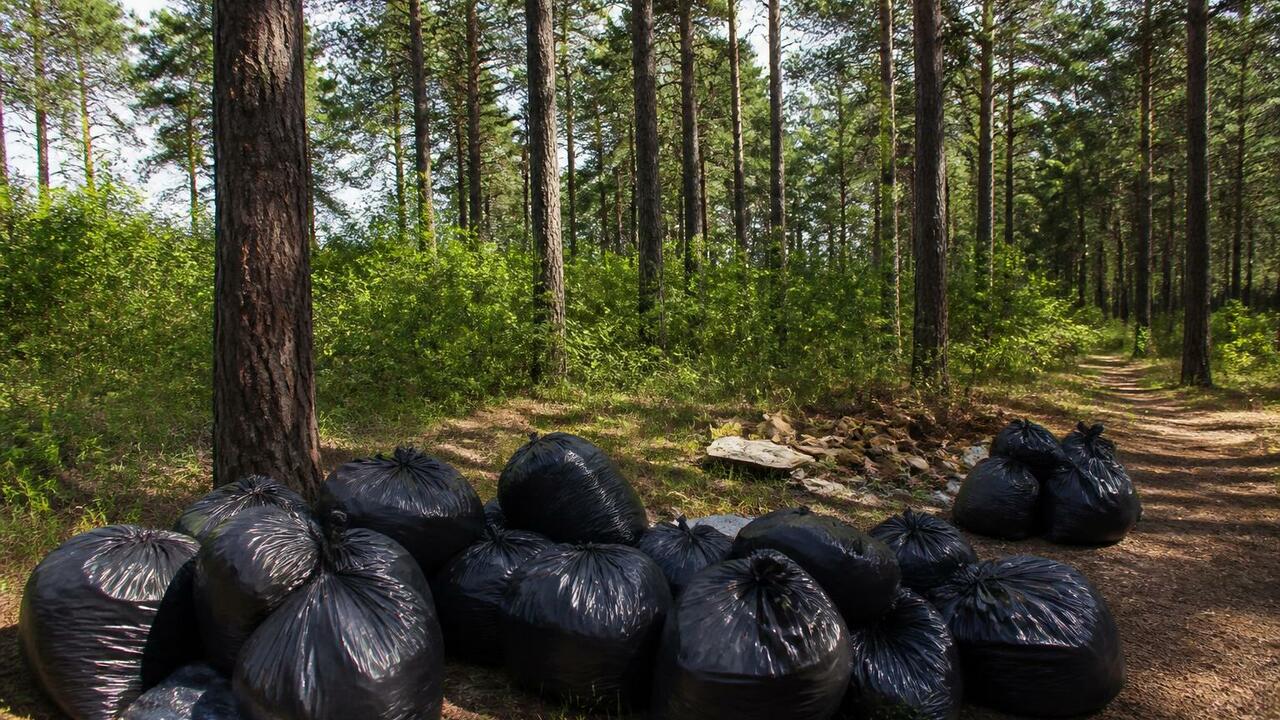 В Северодвинске пройдет экологическая акция «Бо...