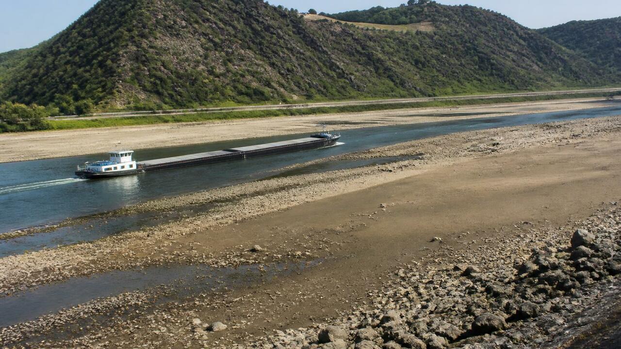 Из-за жары и засухи уровень воды в Рейне упал д...