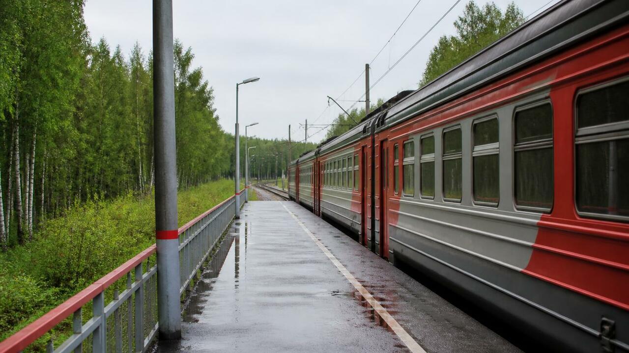 Пригородные поезда Поморья перевезли 879 тысяч ...