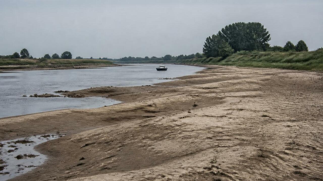 Из-за рекордной засухи в Нидерландах обмелел Ре...