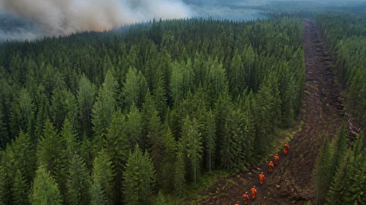 Архангельские пожарные после Томской области отправились тушить леса Ямала Архангельские лесные пожарные завершили работу ...