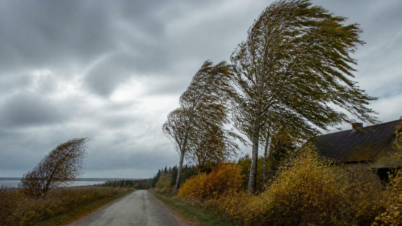 МЧС предупреждает: 20 сентября в Архангельской ...