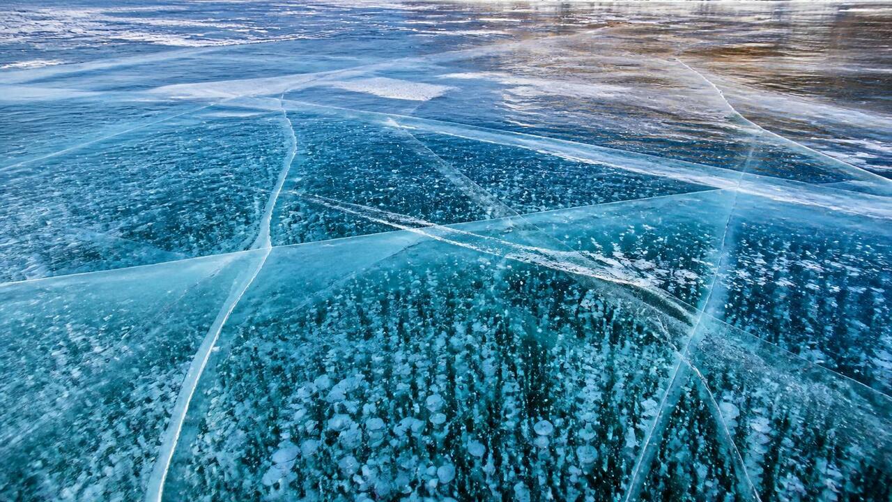 Подведены итоги голосования за самую фотогеничн...
