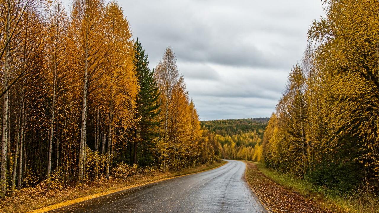 Синоптики прогнозируют в Архангельской области ...