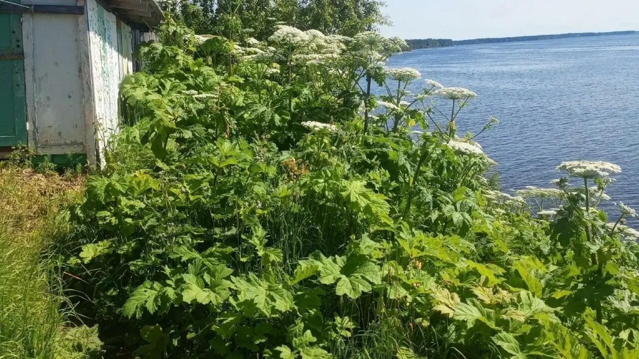 Прокуратура Архангельской области добилась комп...