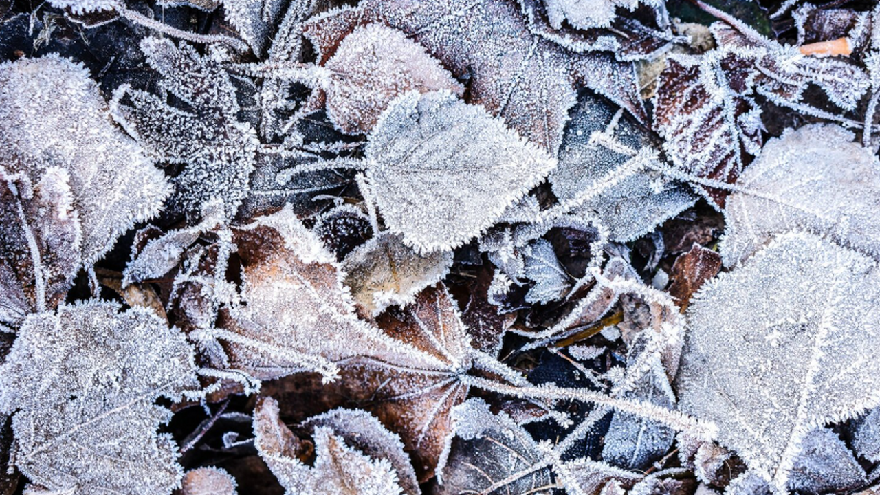 Экстремальные морозы в Якутии и на Дальнем Вост...