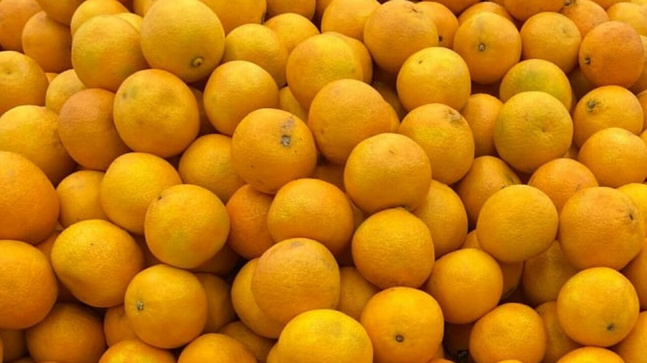 Поддерживает иммунитет и сердечно-сосудистую систему: как обычные мандарины могут стать полезным "лекарством" Доктор биологических наук, главный научный сотр...