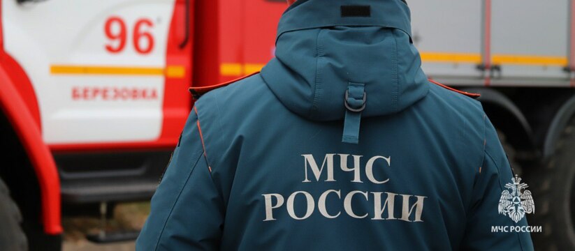 Как уточнили в МЧС, причиной задымления стала