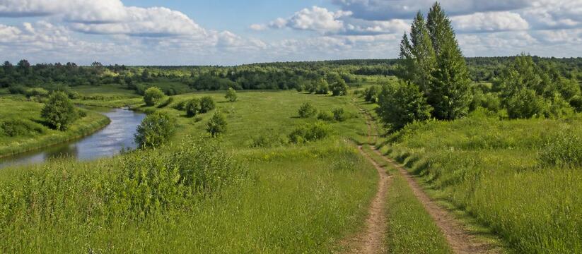 29 июня в Архангельской области ожидается до +2...