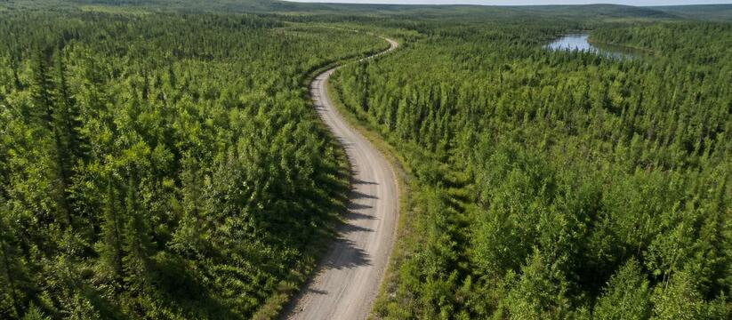 Дорогу к деревне Кимжа в Архангельской области ...