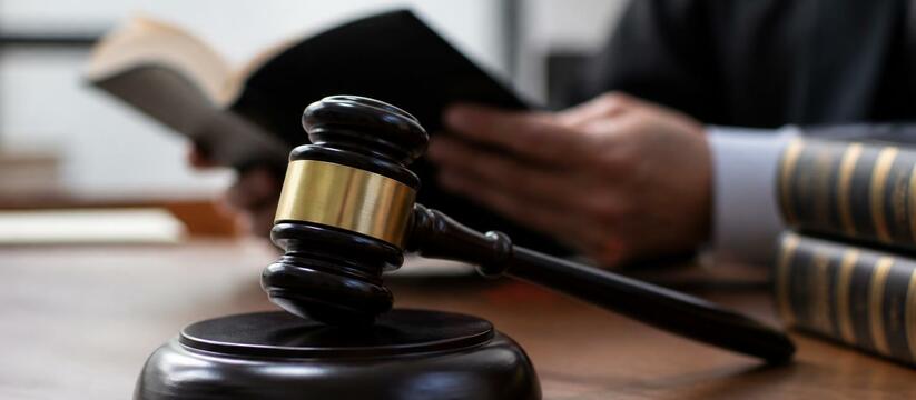 Суд назначил 390 часов обязательных работ жител...