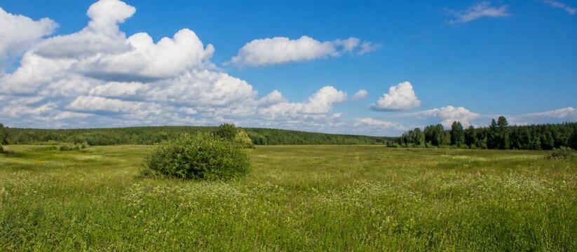 Синоптики прогнозируют теплую погоду в Архангел...