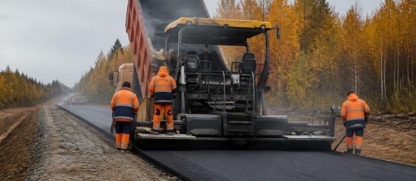 Дорогу Емецк – Сельцо капитально отремонтируют за 122 млн В Архангельской области стартует капитальный ре...