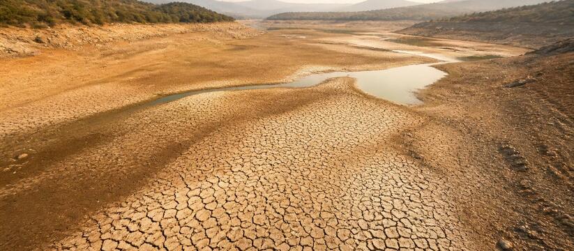 Европа страдает от засухи: виновата не только погода Ученые World Weather Attribution выяснили, что ...