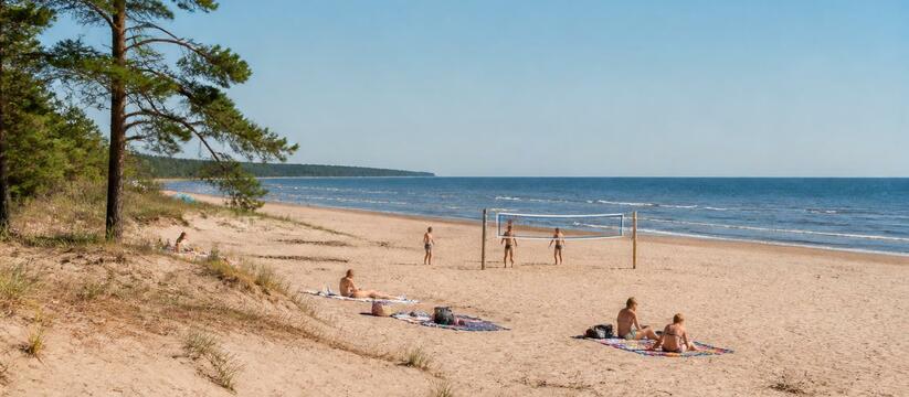 Гид по летнему отдыху на Белом море в Северодви...