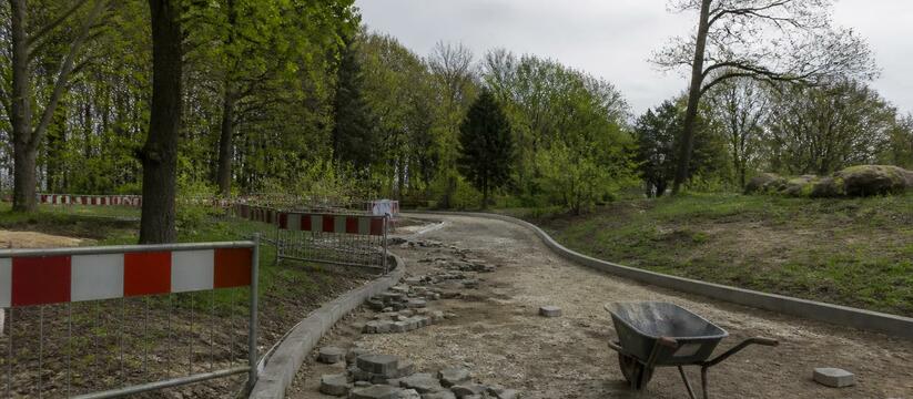 Благоустройство парка Ломоносова в Архангельске...
