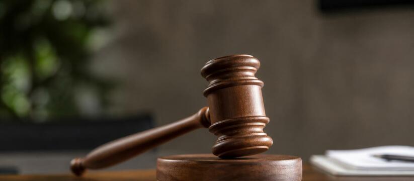16-летний житель Онеги предстанет перед судом з...