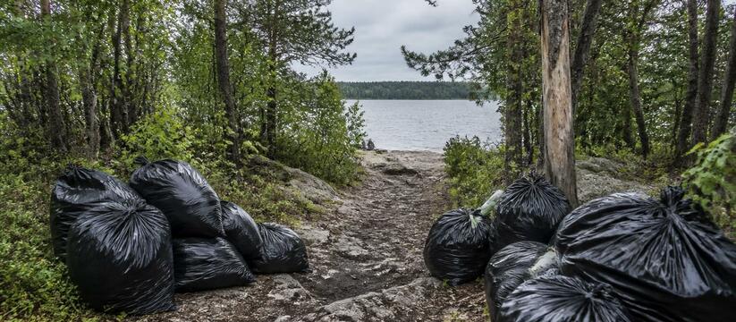 В Сийском заказнике Архангельской области за ию...