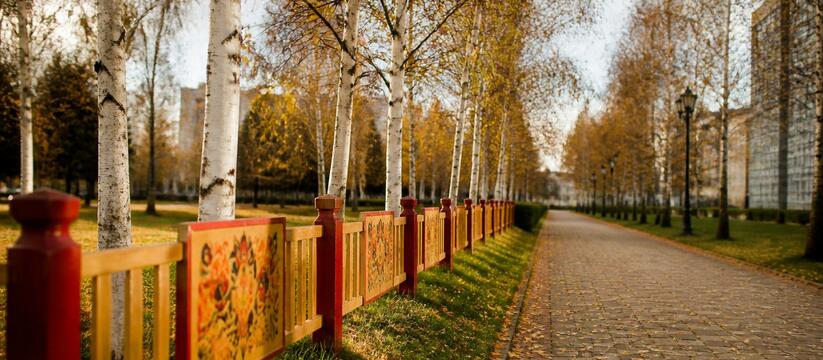 В Архангельске высадят березовую аллею к 90-летию Рубцова В Архангельске 26 сентября в Белом сквере высад...