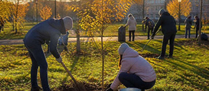 В Архангельской области пройдет осенняя Неделя ...
