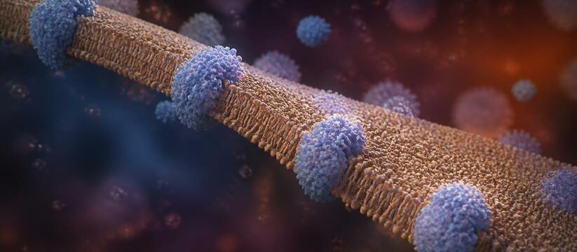 Ученые раскрыли механизм устойчивости Pseudomon...