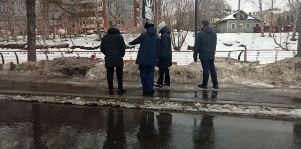 В Архангельске выявили нарушения в содержании д...