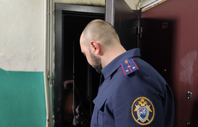 В Архангельской области 2 женщины с 2 детьми за...