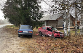 В Вилегодском округе Chevrolet Aveo влетел в де...