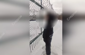 Несовершеннолетняя жительница Новодвинска призн...