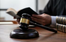 Мезенцу назначили 390 часов работ за экстремизм...