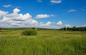 Архангельскую область ждет теплое 17 июля