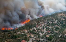 Восемь способов снизить риск лесных пожаров