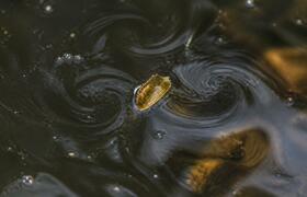 Вода крутит микродетали без электричества и химии