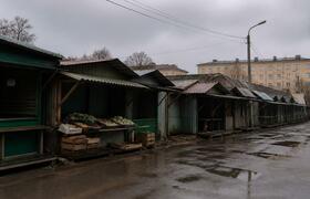Торговля овощами в Архангельске: легальных — ли...