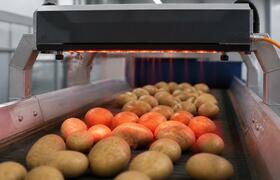 ИИ-сортировщик картофеля обрабатывает 10 тонн в...